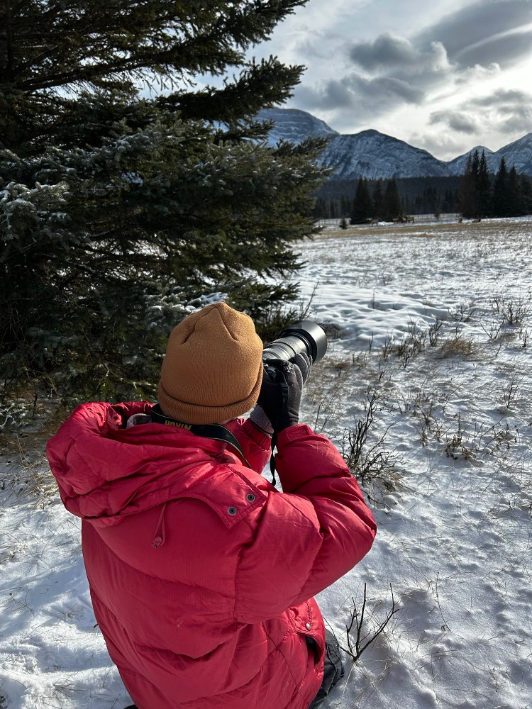 Man in a red jacket kneeling in snow taking a photo of elk